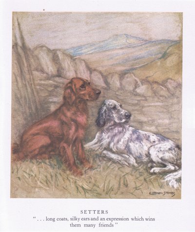 الإعدادات (طباعة حجرية ملونة) بواسطة جورج فيرنون ستوكس