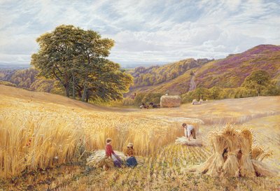 وقت الحصاد بالقرب من Holmbury Hill ، Surrey ، 1865 (مرحاض ولون جسم على ورق) بواسطة جورج فيكات كول