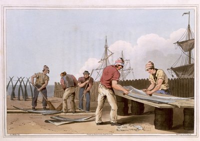 كاشطات الحوت ، نقشها روبرت هافيل الأكبر ، نشر عام 1814 من قبل روبنسون وابنه ، ليدز بواسطة جورج ووكر
