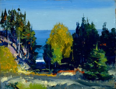 The Grove - Monhegan ، 1911 بواسطة جورج ويسلي بيلوز