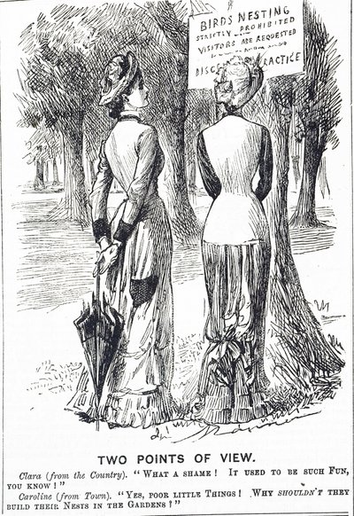 كارتون يعلق على قانون حماية الطيور لعام 1880 بواسطة جورج دو مورير