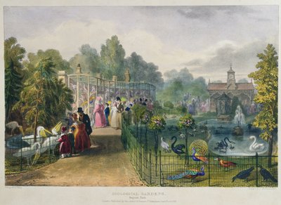 القفص في حدائق الحيوان ، ريجنتس بارك ، محفور وحانة. للفنان ، طبعها تشارلز هولمانديل (1789-1850) ، 1836 بواسطة جورج الأكبر شارب