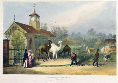 بيت الجمل في حدائق الحيوان ، ريجنت بارك ، محفور وحانة. للفنان ، طبعها تشارلز هولمانديل (1789-1850) ، 1835 بواسطة جورج الأكبر شارب