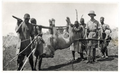 أسد في بحر الغزال ، أم دفوق ، 1925 (طباعة الجيلاتين الفضي) بواسطة جورج ماري هاردت