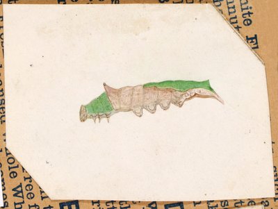  بواسطة جيرالد ثاير