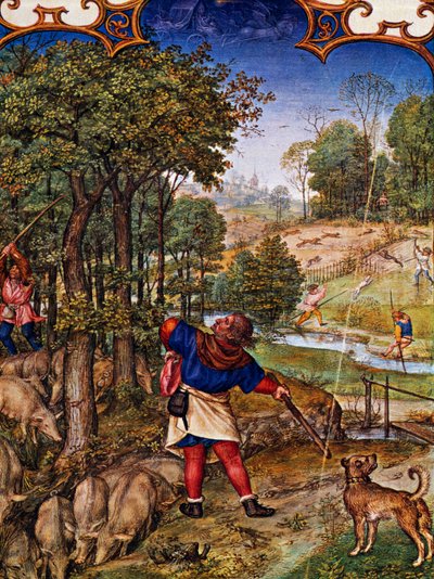 شهر نوفمبر ، جمع الجوز وصيد الأرانب ، منمنمات من Grimani Breviary ، مع منمنمة لـ Gerard Horenbout (حوالي 1465 قبل 1541) ، ألكساندر وسيمون بينينغ (1483-1561) ، كود لات الأول ، 99 و 11 فولت ، هولندا بواسطة جيرارد هورينبوت