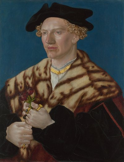 صورة لرجل ، كاليفورنيا 1530 بواسطة German Master