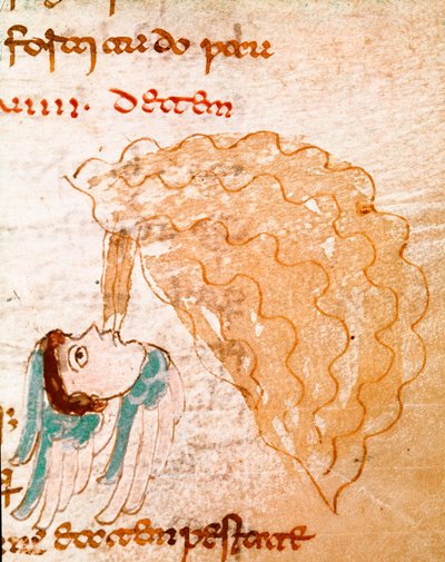كتاب مؤقت 9 ، الفصل 29. صورة مصغرة مأخوذة من مخطوطة "الكون" أو "في الطبيعة" بواسطة المدرسة الألمانية