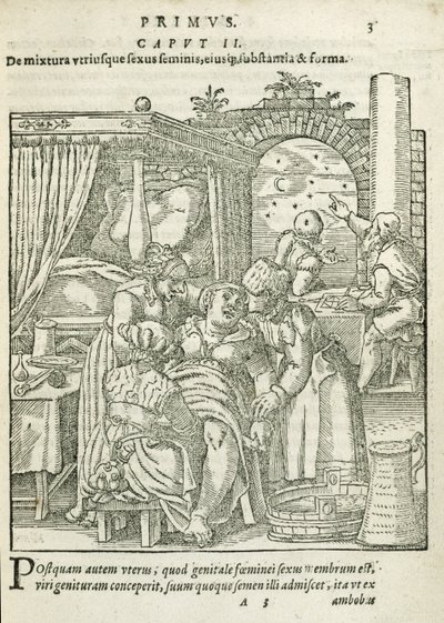 امرأة في العمل ، رسم توضيحي من الفصل 2 ، الكتاب 1 عن مفهوم الرجل ونموه بواسطة روف ، 1587 بواسطة المدرسة الألمانية