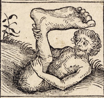 sciopod ، رجل ذو قدم منتفخة ، من `` Registrum Hujus Operis Libri Cronicarum cum Figuri et Imagibus ab Inicio Mundi 