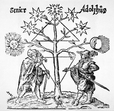 شجرة كيميائية ، رسم بياني ورمزي ، من متحف Hermeticum لتوماس نورتون (1749) موضحة في تاريخ السحر المنشور في أواخر القرن التاسع عشر بواسطة المدرسة الألمانية