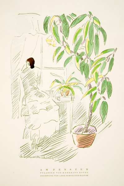 Am Fenster ، نباتات من تأليف هيرمان روث ، من Styl ، حانة 1922 (طباعة pochoir) بواسطة المدرسة الألمانية