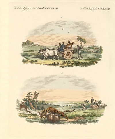 Antelopes hunting with leopards (coloured engraving) بواسطة المدرسة الألمانية