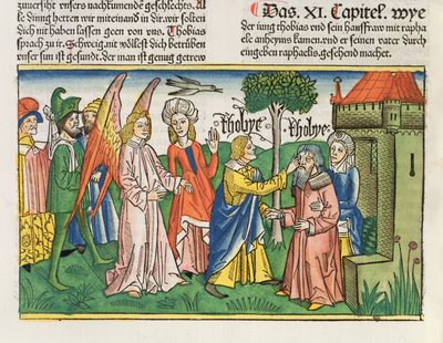 Apocrypha: توبياس يعيد والده توبيتس مشهد مرارة سمكة ، من الكتاب المقدس نورمبرغ (Biblia Sacra Germanaica) (قطع خشبية ملونة) بواسطة German School