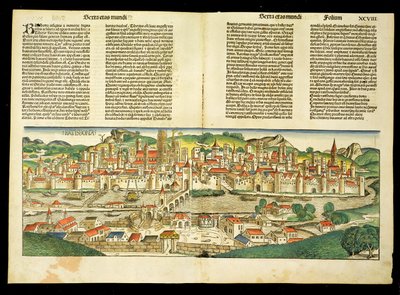 منظر عين الطيور لراتسبون ، من نورنبرغ كرونيكل بقلم هارتمان شيدل (1440-1514) 1493 بواسطة المدرسة الألمانية