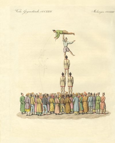 Chinese bateleus (coloured engraving) بواسطة المدرسة الألمانية