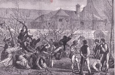 Cutting down trees round Paris for firewood, Cassells History of the War between France and Germany published by Cassell and Company Limited, c.1890 (litho) بواسطة المدرسة الألمانية