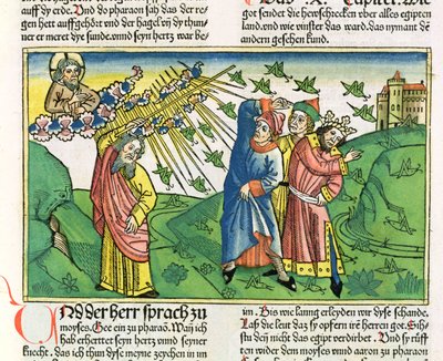 خروج 10: 1-20 الضربات السبع في مصر: وباء الجراد ، من الكتاب المقدس نورمبرغ (Biblia Sacra Germanaica) (قطع خشبية ملونة) بواسطة المدرسة الألمانية