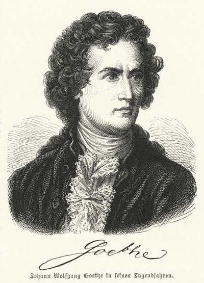 المؤلف الألماني يوهان فولفجانج جوته (1749-1832) في شبابه بواسطة المدرسة الألمانية