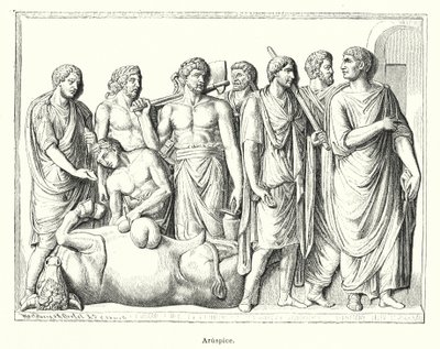 Haruspex ، الكاهن الروماني القديم الذي فحص سلالات الحيوانات التي تم التضحية بها للتنبؤ بالمستقبل (litho) بواسطة المدرسة الألمانية