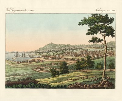 مدينة هوبارت في Van Diemens Land (نقش ملون) بواسطة المدرسة الألمانية