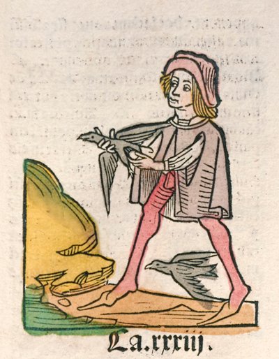 Hortus Sanitatis [حديقة الصحة] بقلم جاكوب ميدنباخ ، نُشرت عام 1491 (نقش خشبي) بواسطة المدرسة الألمانية