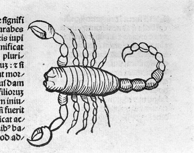 Le Scorpio - في أطروحات للملاك Magnisconnection تشير إلى سنوات من الثورات وانتشارها. اوغسبورغ ، ارهارد راتدولت بواسطة المدرسة الألمانية