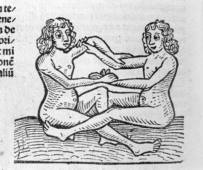 Les Taurus - The Traitede Johannes Angels Magnisconnectionibue سنوات من الثورات وكمالها. اوغسبورغ ، ارهارد راتدولت بواسطة المدرسة الألمانية