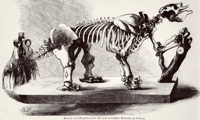 هيكل عظمي Megatherium في المتحف البريطاني بواسطة المدرسة الألمانية