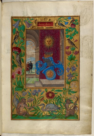 السيدة Harley 3469، f.2 Two Golden Suns، من "Splendor Solis" للمخرج Salomon Trismosin بواسطة المدرسة الألمانية