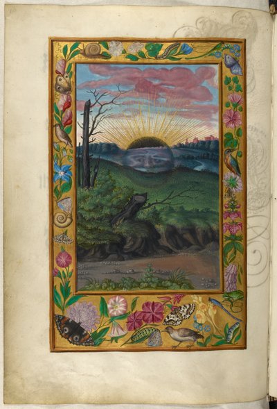 السيدة هارلي 3469 ، f.30v الشمس الداكنة ، الرسالة الخامسة ، من "سبلندور سوليس" بقلم سالومون تريزموسين بواسطة المدرسة الألمانية