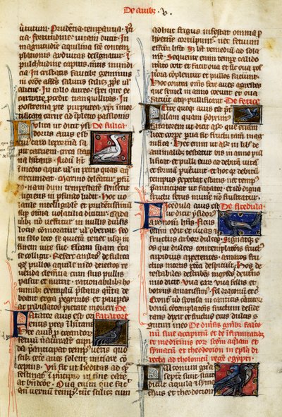 Page from De Natura Rerum on birds, by Albertus Magnus (circa 1200-1280) بواسطة المدرسة الألمانية
