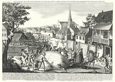 الفلاحون يهاجمون منطاد جاك تشارلز وروبرت براذرز بعد سقوطه في غونيس ، 27 أغسطس 1783 (نقش) بواسطة المدرسة الألمانية