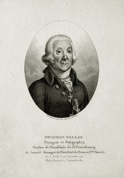 بيتر سيمون بالاس. (1741-1811) (نقش خطي) بواسطة المدرسة الألمانية