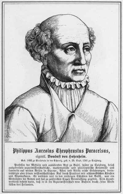 Auriolus Philip Theophrastus Paracelsus (نقش) بواسطة المدرسة الألمانية