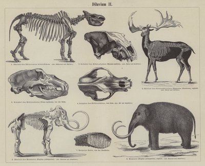 Prehistoric animals (engraving) بواسطة المدرسة الألمانية