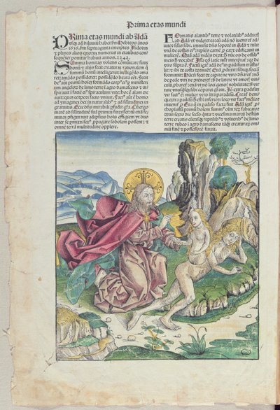 ولادة حواء ، من "Liber Chronicarum" بواسطة هارتمان شيدل (1440-1514) 1493 (قطع خشبية ملونة) بواسطة المدرسة الألمانية