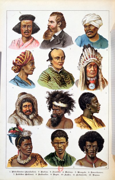 الأجناس البشرية المختلفة ، من التاريخ الطبيعي للمملكة الحيوانية بواسطة Gotthelf Heinrich von Schubert (1780-1860) ، 1861 (نقش الألوان) بواسطة المدرسة الألمانية
