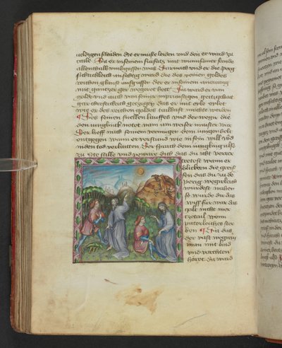 Ulrich von Pottenstein، The Book of Natural Wisdom، Egerton MS 1121 f.114v، c.1430 (الحبر واللون على الرق) بواسطة المدرسة الألمانية