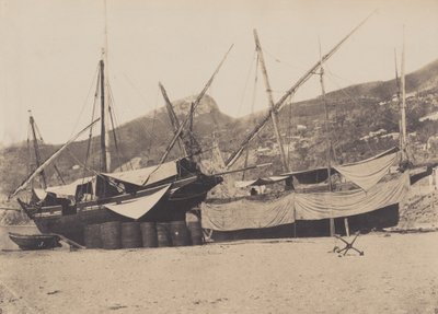 ساليرنو ، 1855. بواسطة جياكومو كانيفا