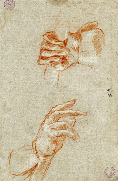 دراسة اليدين. بواسطة Giambattista Tiepolo