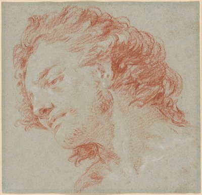 رأس شاب في صورة جانبية إلى اليسار (وجه) ؛ دراسات الأشكال المجازية (ظهر) بواسطة Giambattista Tiepolo