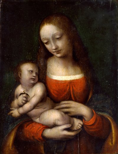 العذراء والطفل ، 1510-1515 بواسطة Giampietrino