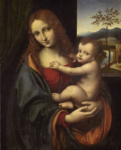 العذراء والطفل ، 1510-1525 بواسطة Giampietrino