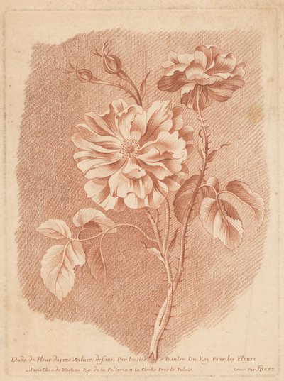 بلومين دراسة الزهور بعد الطبيعة التي رسمها الرسام الصغير من روي للزهور (العنوان على الكائن) بواسطة جيل ديمارتو