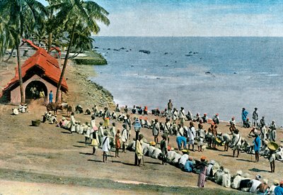 وجبة القرية المجتمعية ، جزر أندامان ونيكوبار ، المحيط الهندي ، c1890 بواسطة جيلو