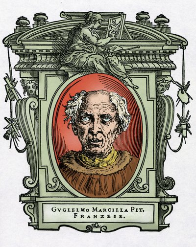 Portrait of William of Marcillat بواسطة جورجيو فاساري