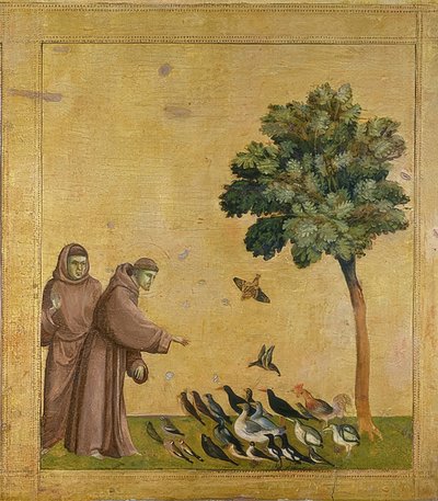 يعظ القديس فرنسيس للطيور. حوالي 1295-1300 (بريديلا ، انظر أيضًا الصورة رقم 19398) بواسطة جيوتو دي بوندوني