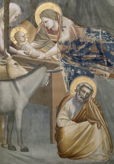 الميلاد ، تفاصيل العذراء والطفل ، الحمار ويوسف ، 1303-05 (بعد الترميم) بواسطة جيوتو دي بوندوني