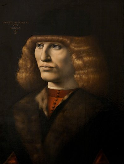 Portrait of a young man, c.1500 (oil on panel) بواسطة جيوفاني أنطونيو بولترافيو